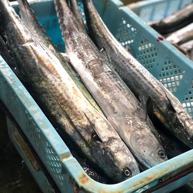クボタ水産 – 淡路島の新鮮な魚をあなたに